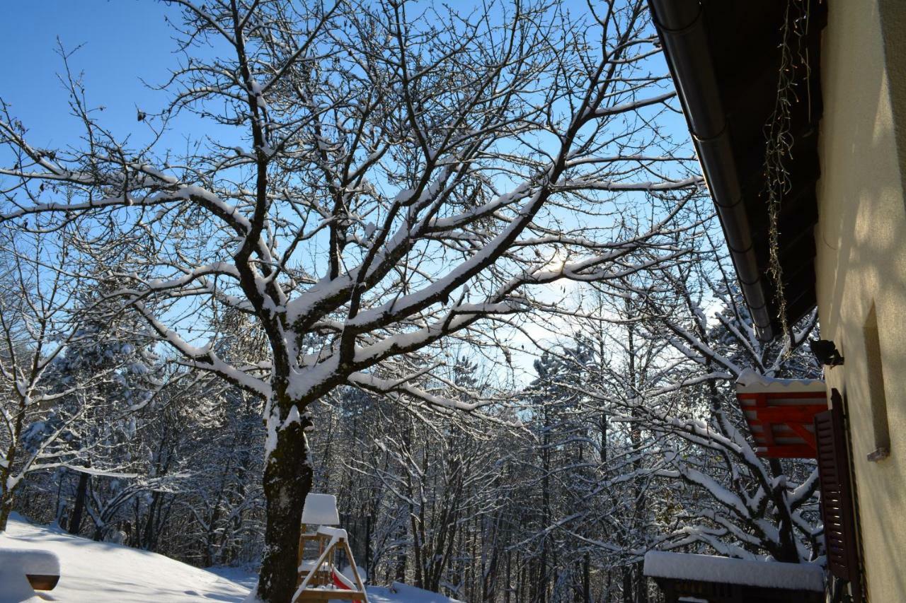 Holiday Home Coprnicka Hisa Skrad Exterior foto